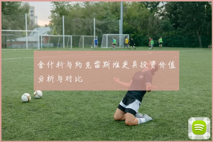 舍什科与约克雷斯谁更具投资价值分析与对比